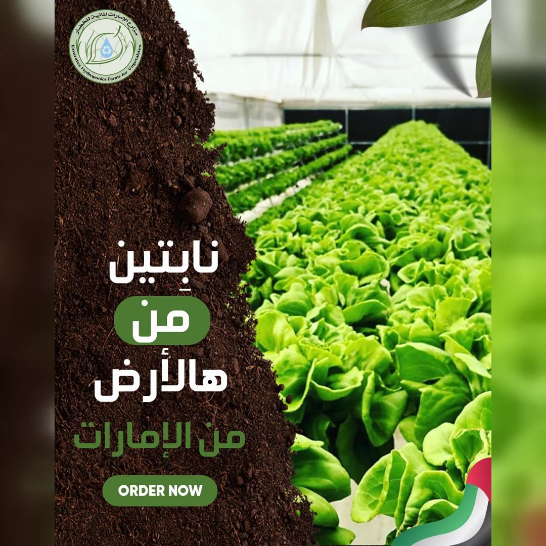 Emirates Hydroponics Farm